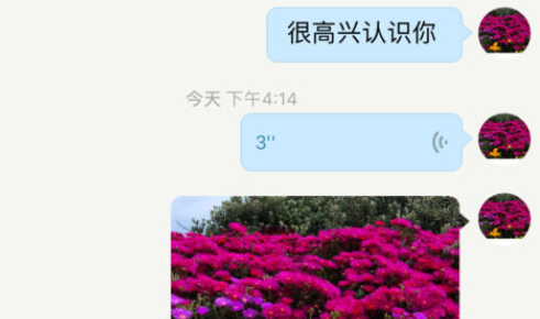 QQ截图20240904170213.png