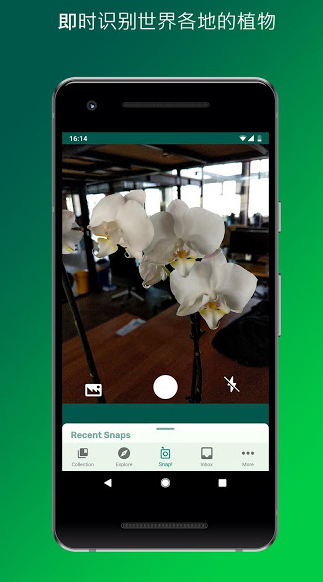 PlantSnap(PlantSnap植物识别)安卓官方版