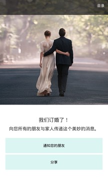 蒂芙尼订婚钻戒顾问精简版