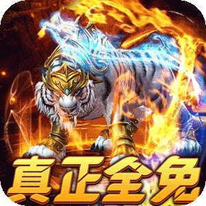 武器之王（免月卡无限进化）安卓版